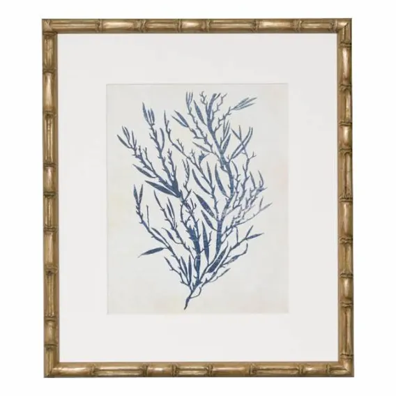 Indigo Blue Seaweed 3B Framed Print in 49 x 56cm