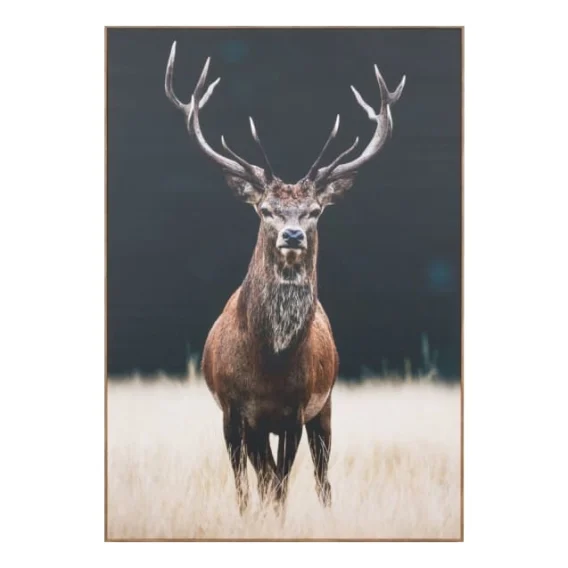 Meadow Deer Box Framed Canvas in 110 x 160cm