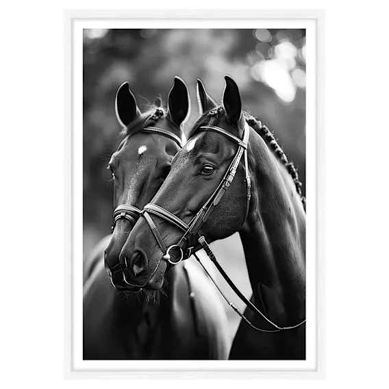 Moonbound Framed Print in 95 x 133cm