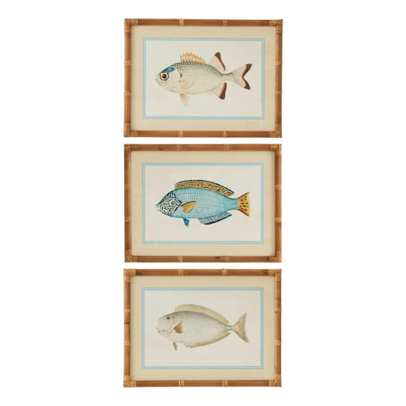 Nemo Framed Print Set of 3 in 45 x 60cm