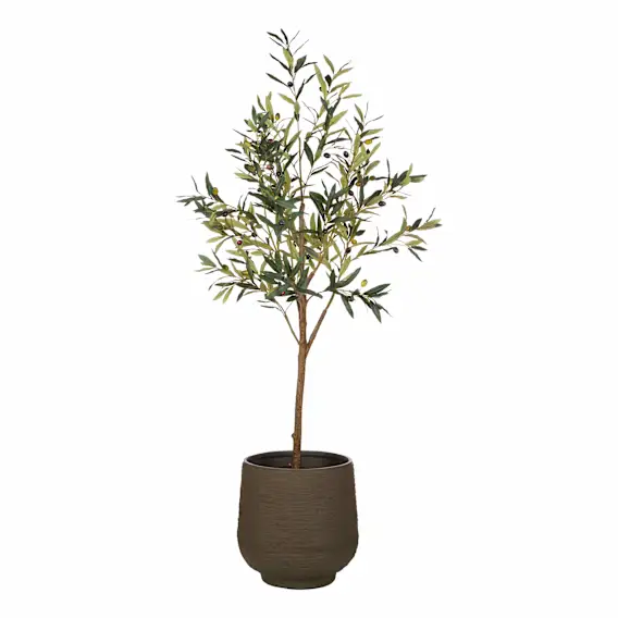 Olive Tree Trillium Planter 66x164cm in Green