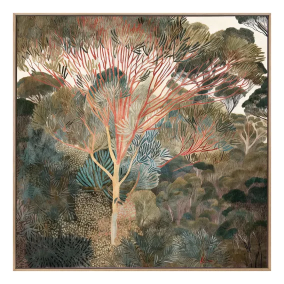 Outback Canopy I Box Framed Canvas in 123 x 123cm