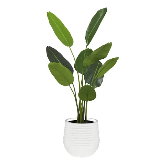 Bird of Paradise Ryker Planter Medium 107x150cm in Green/White