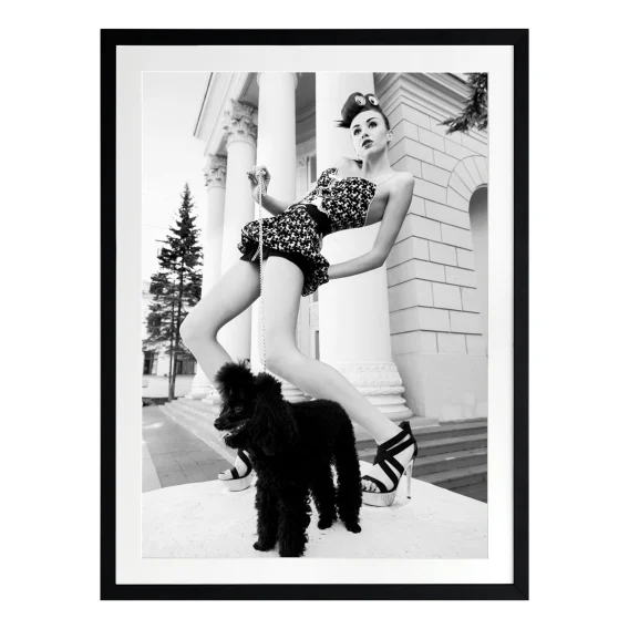 Posing Poodle Framed Print in 84 x 105cm