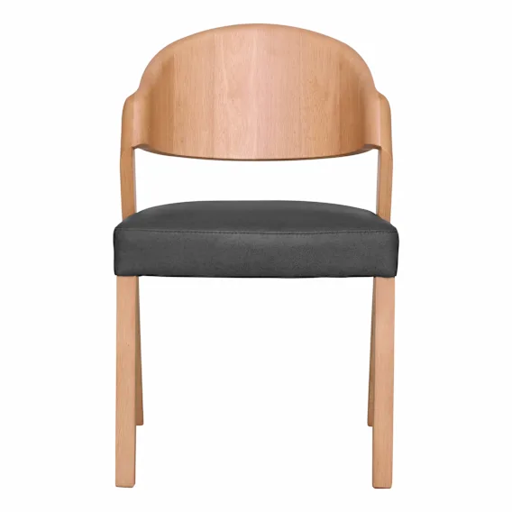 Ridley Dining Chair in Urbane Leather Black / Clear