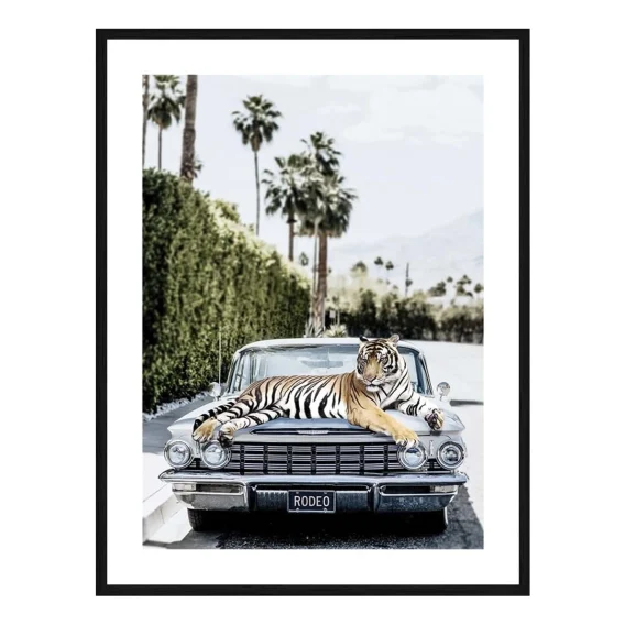Rodeo Tiger Framed Print in 61 x 84cm
