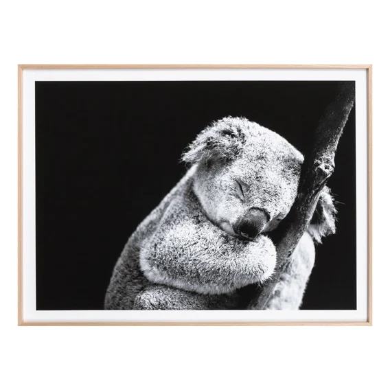 Little Design Haus (Koala) Art Print