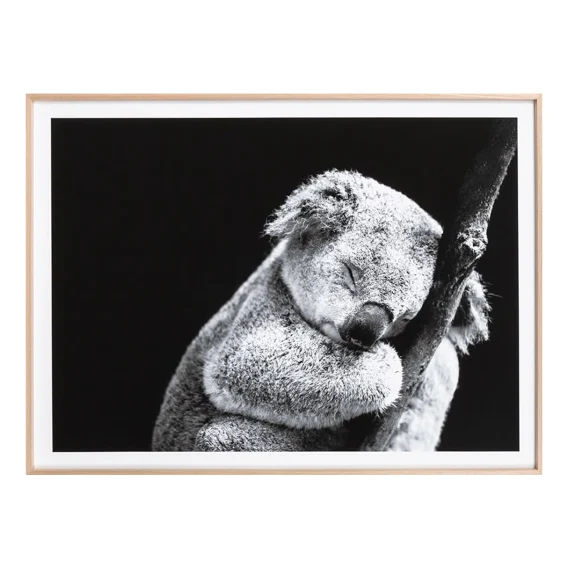 Sleepy Koala Framed Print in 121 x 86cm