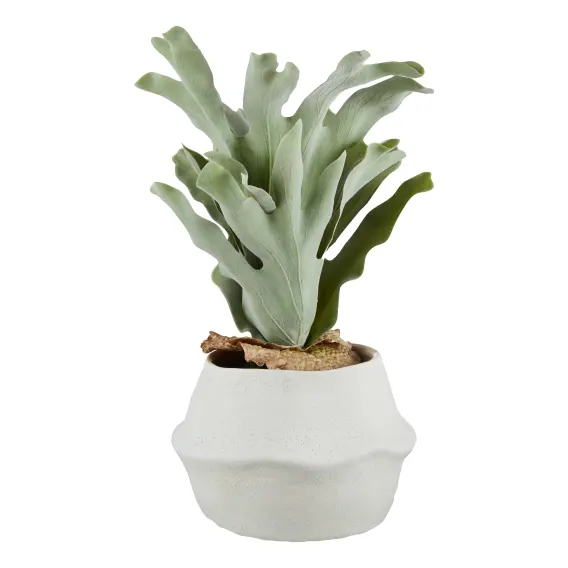 Staghorn Fern Pot 23x47cm in Green/White