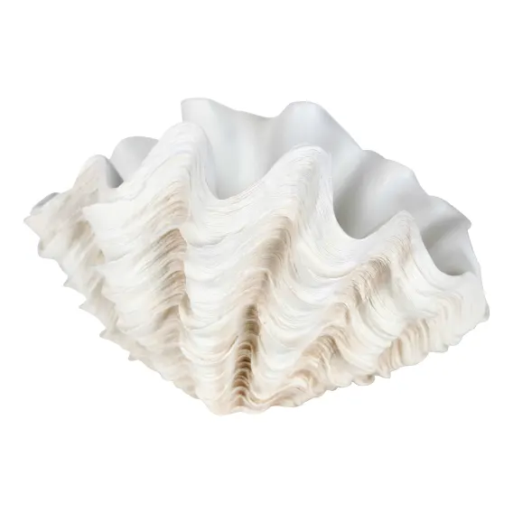 Ulla Clamshell Ornament 48.5x28.5cm in Shell