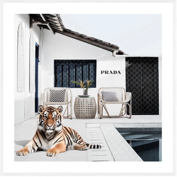 Zen Cat Framed Print in 95 x 95cm